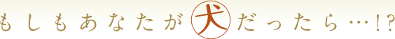 もしもあなたが犬だったら・・・！？