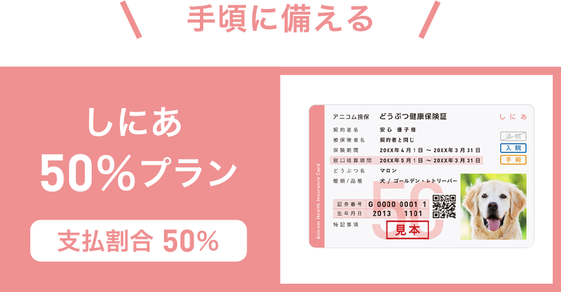 しにあ50%プラン 支払割合 50%