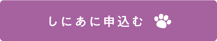 シニア保険に申込む