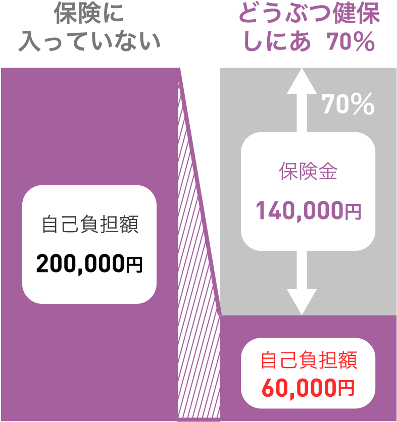 手術1回+入院4日 診療費 200,000円の場合