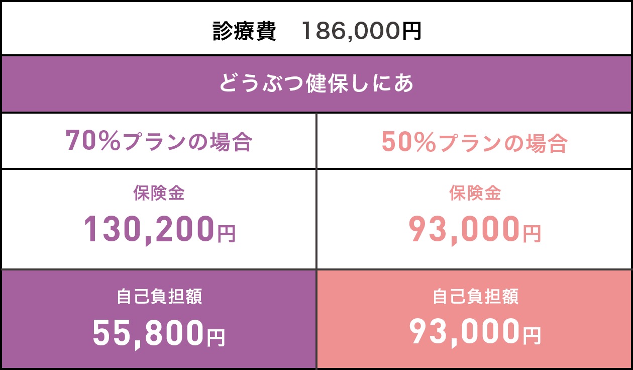 診療費　186,000円