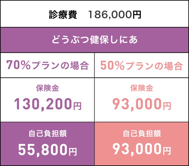 診療費　186,000円