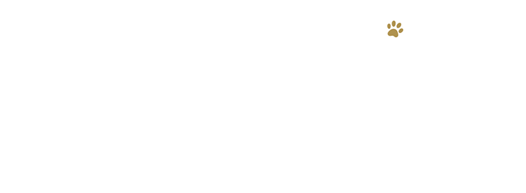 15年連続!ペット保険シェアNo.1