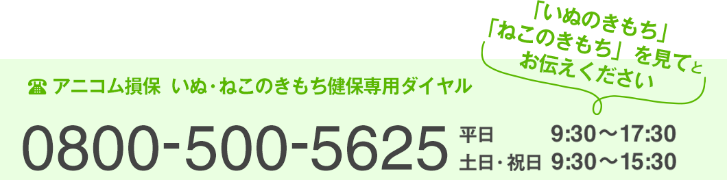 アニコム損保いぬ・ねこのきもち健保専用ダイヤル