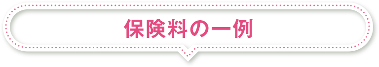 保険料の一例