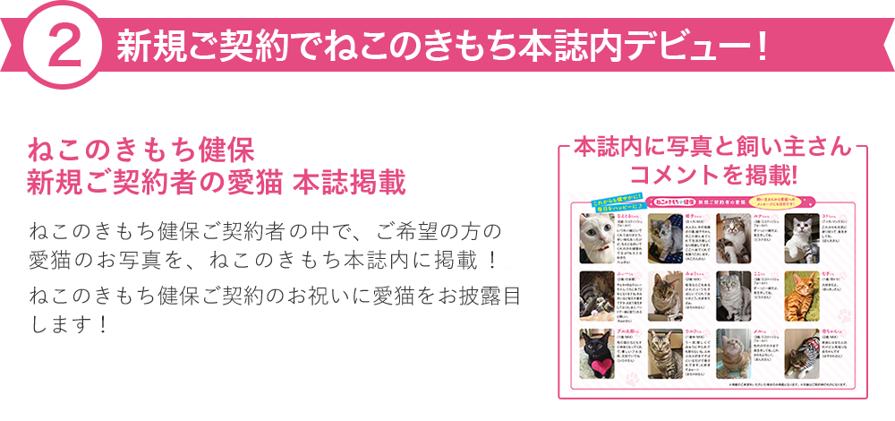  新規ご契約でねこのきもち本誌内デビュー！