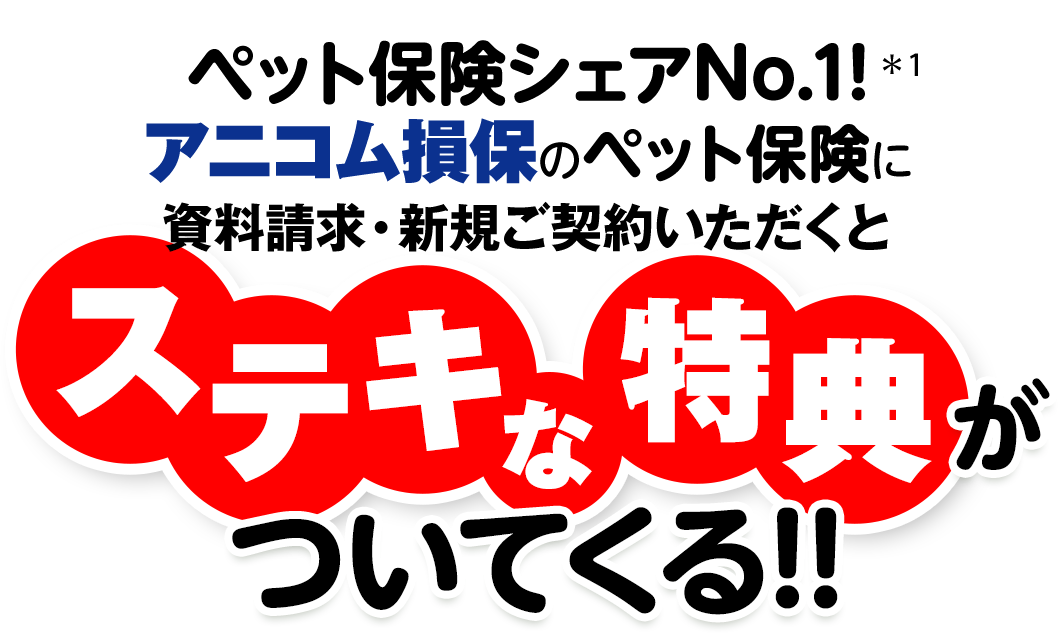 ペット保険シェアNo1アニコム損保のペット保険にねこのきもち健保だけのステキな3つの特典がついてくる！！
