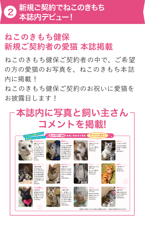  新規ご契約でねこのきもち本誌内デビュー！