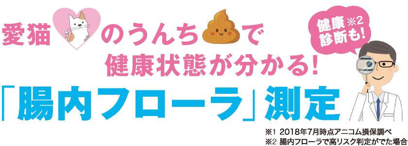 愛猫のうんちで分かる!「腸内フローラ」測定ができます!