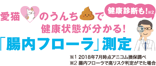 愛猫のうんちで分かる!「腸内フローラ」測定ができます!