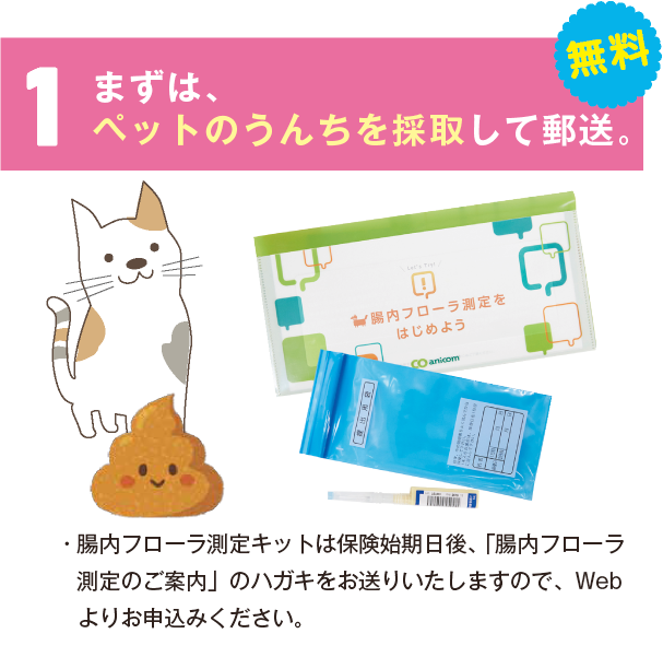 １ まずは、ペットの便を採取して郵送。