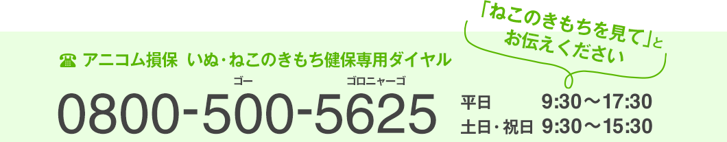 アニコム損保いぬ・ねこのきもち健保専用ダイヤル