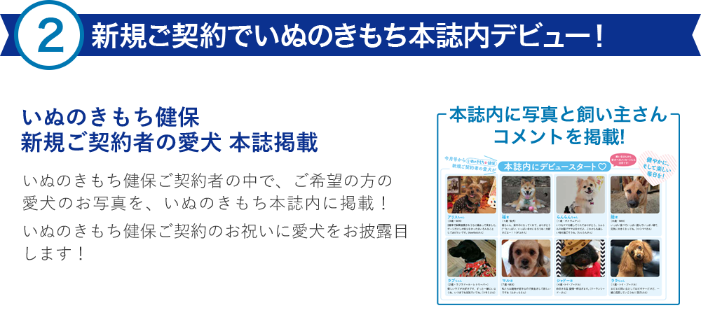  新規ご契約でいぬのきもち本誌内デビュー！