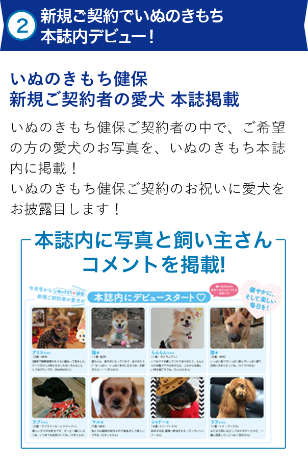  新規ご契約でいぬのきもち本誌内デビュー！