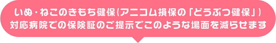 「どうぶつ健保」対応病院での保険証のご提示でこのような場面を減らせます