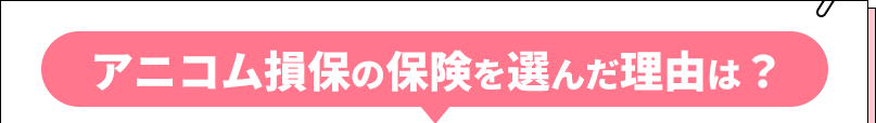 ペット保険を選ぶとき重視したいポイントは？