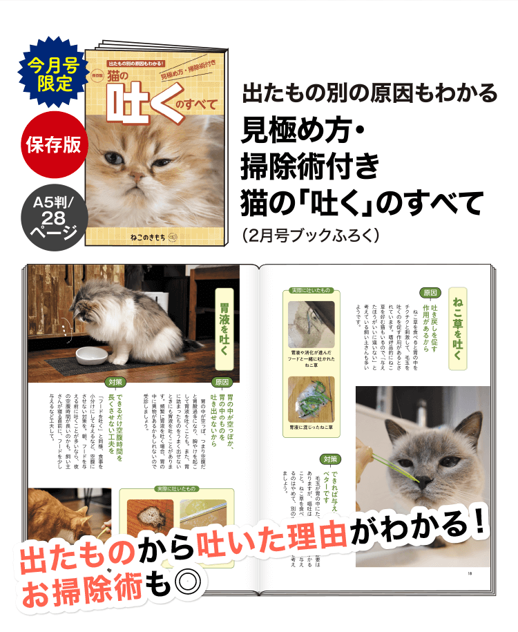 出たもの別の原因もわかる 見極め方・掃除術付き 猫の「吐く」のすべて