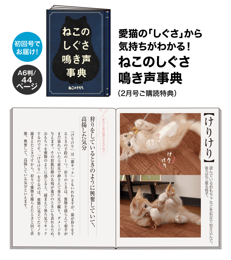 愛猫の「しぐさ」から 気持ちがわかる！ねこのしぐさ鳴き声事典（2月号ご購読特典）