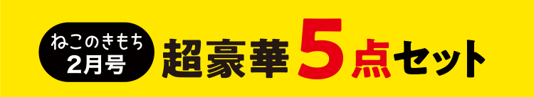 ねこのきもち2月号　超豪華5点セット