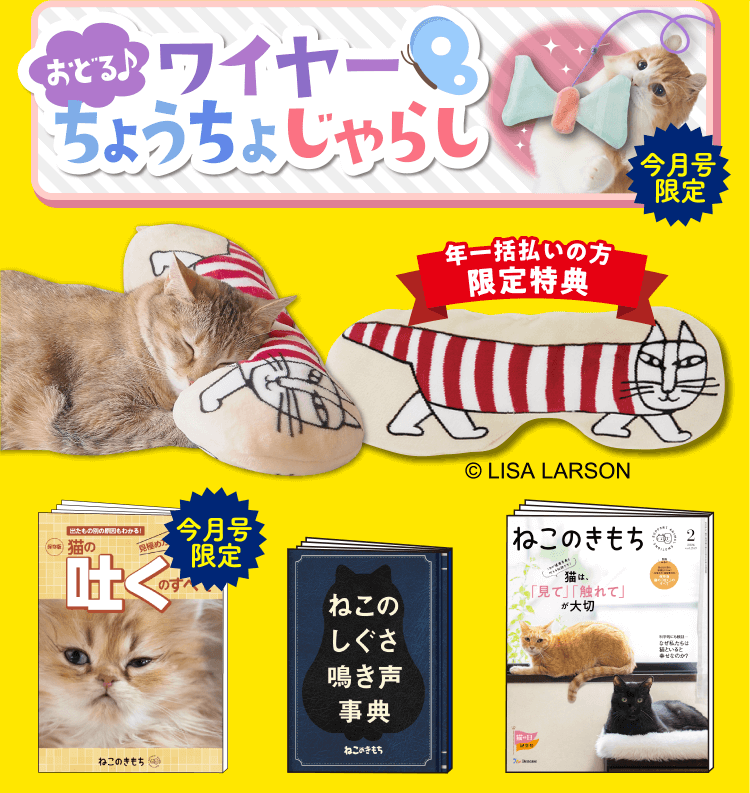 超豪華5点セット