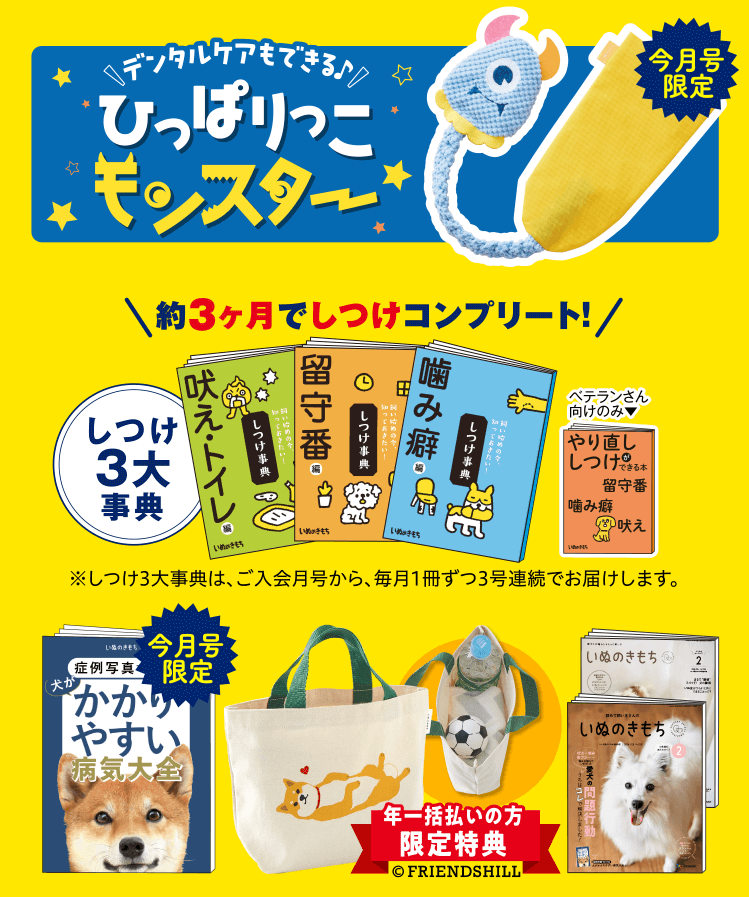 超豪華8点セット ※初心者さん向けは7点セットとなります。