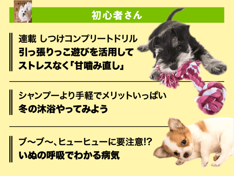 いぬのきもち　初心者さん