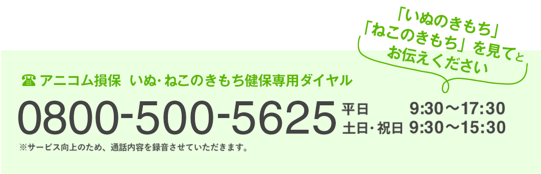 アニコム損保いぬ・ねこのきもち健保専用ダイヤル
