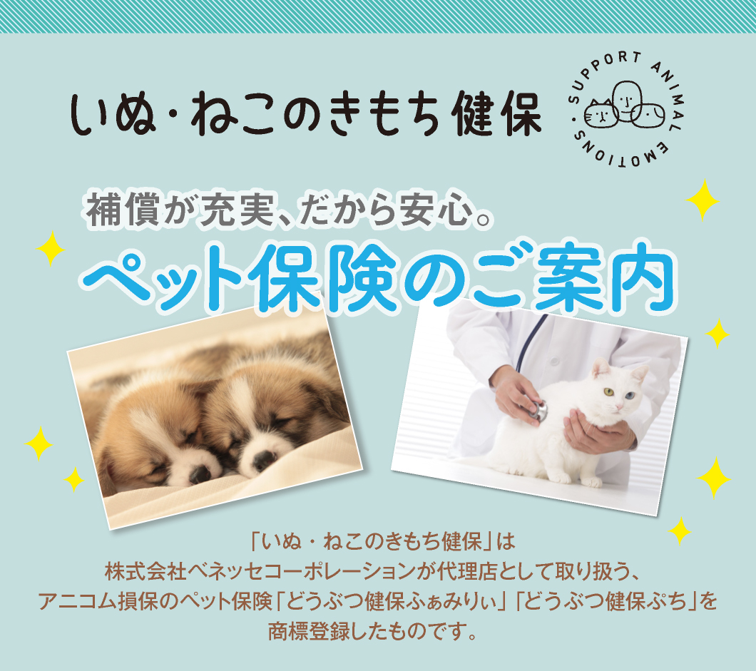 いぬ・ねこのきもち健保