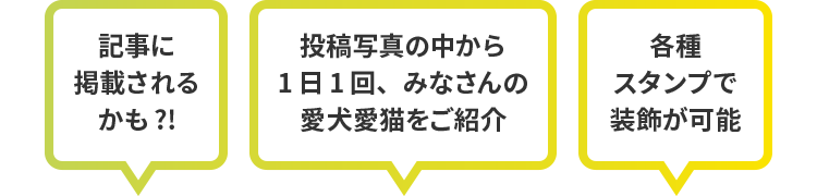 記事に掲載されるかも?!　投稿写真の中から1日1回、みなさんの愛犬愛猫をご紹介　各種スタンプで装飾が可能