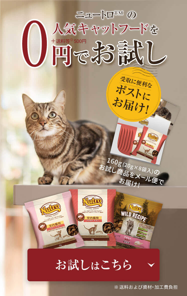 お試しはこちら