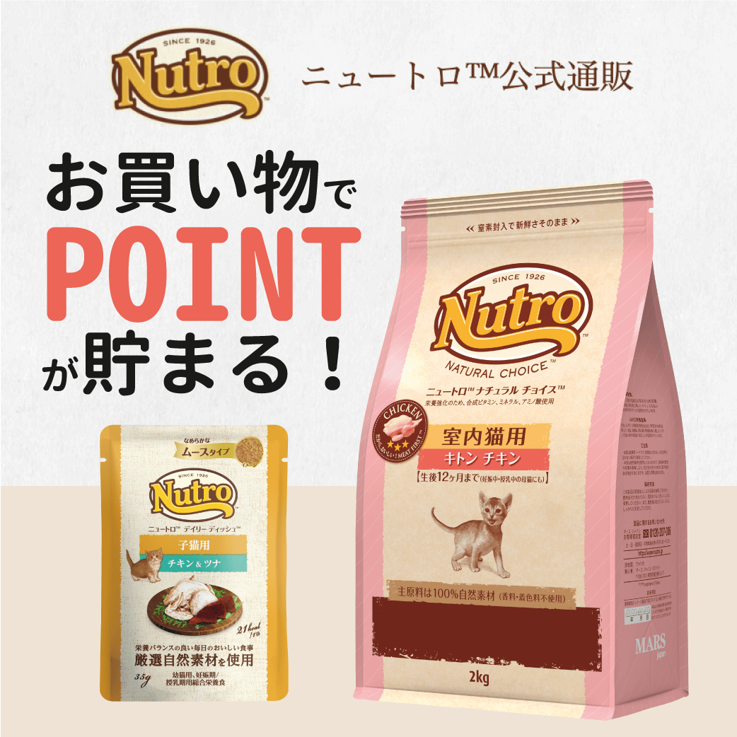 ねこのきもちSTORE