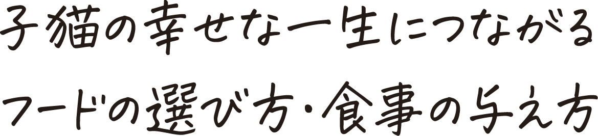 子猫の幸せな一生につながるフードの選び方・食事の与え方