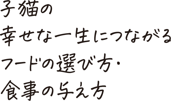 子猫の幸せな一生につながるフードの選び方・食事の与え方